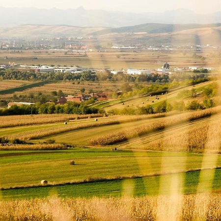 Pensiunea Casa Din VII Seusa Buitenkant foto