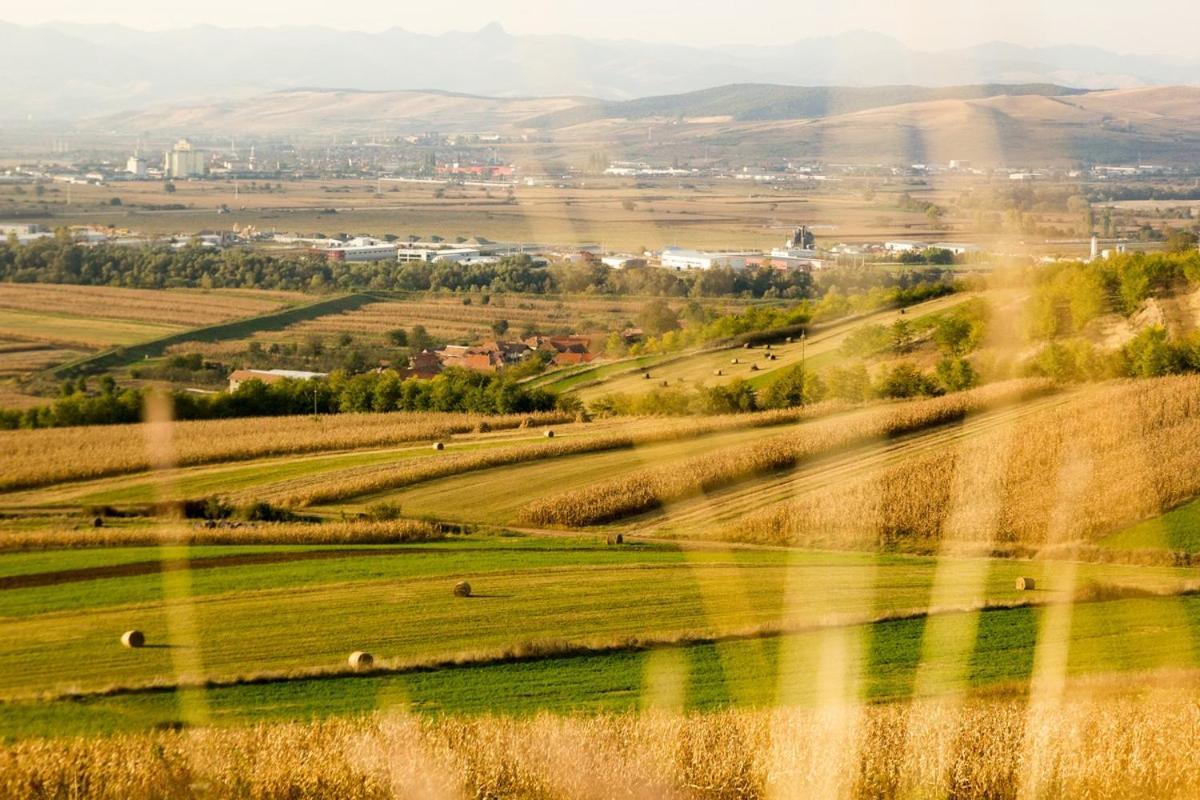 Pensiunea Casa Din VII Seusa Buitenkant foto