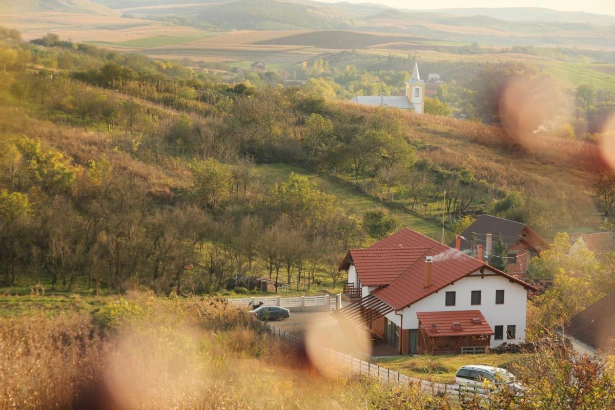 Pensiunea Casa Din VII Seusa Buitenkant foto
