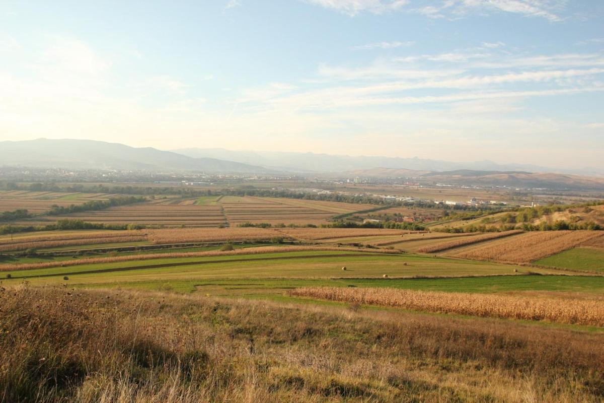 Pensiunea Casa Din VII Seusa Buitenkant foto