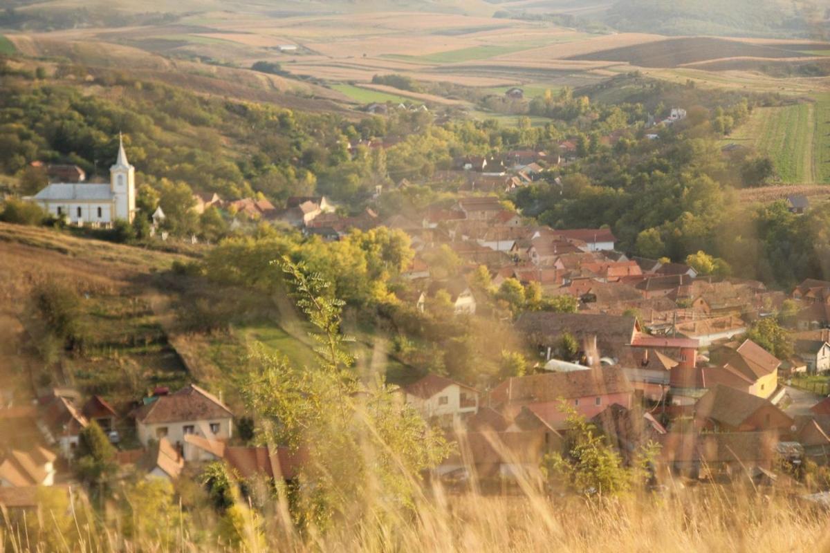 Pensiunea Casa Din VII Seusa Buitenkant foto