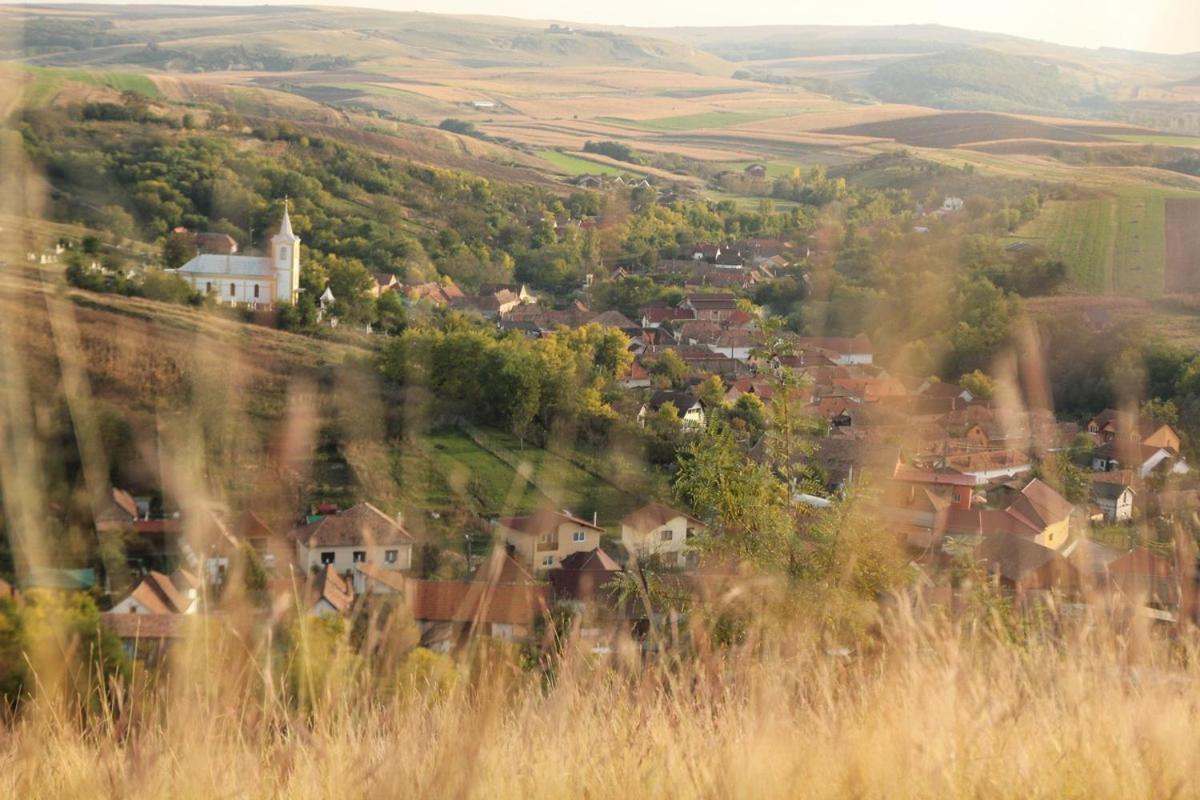 Pensiunea Casa Din VII Seusa Buitenkant foto