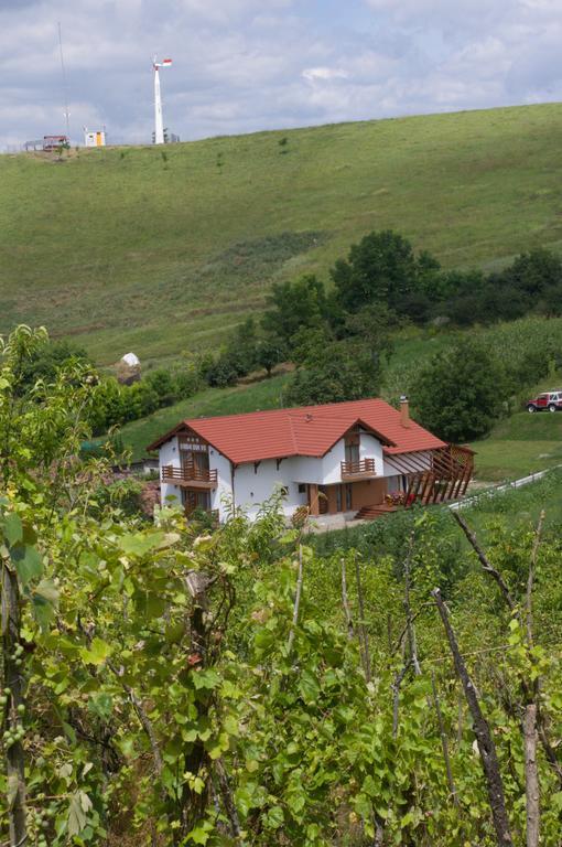 Pensiunea Casa Din VII Seusa Buitenkant foto