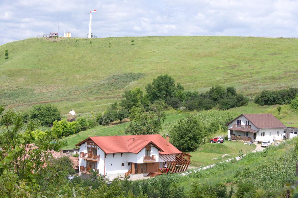 Pensiunea Casa Din VII Seusa Buitenkant foto
