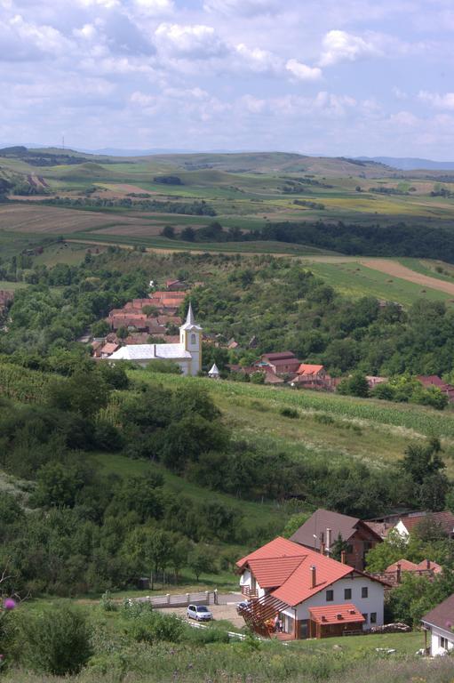 Pensiunea Casa Din VII Seusa Buitenkant foto