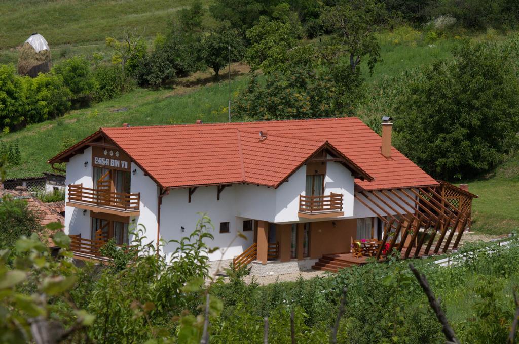 Pensiunea Casa Din VII Seusa Buitenkant foto