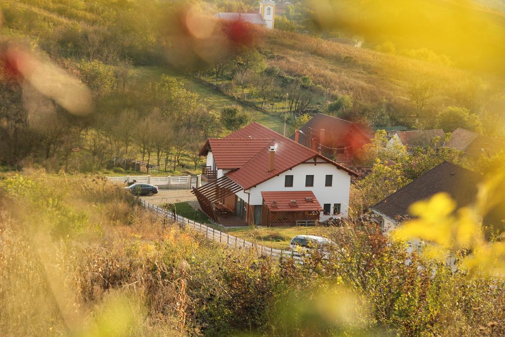 Pensiunea Casa Din VII Seusa Buitenkant foto